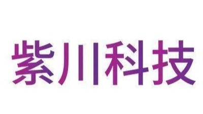 廣州紫川電子科技公司智能檢測儀檢測報(bào)告案例